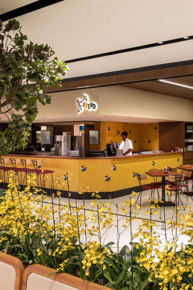 FREVO IGUATEMI - CONRADO CERAVOLO-15