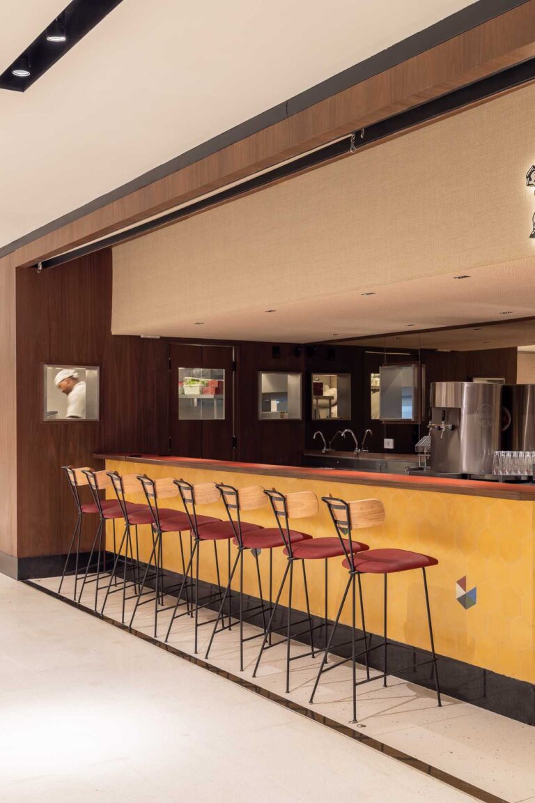 FREVO IGUATEMI - CONRADO CERAVOLO-5