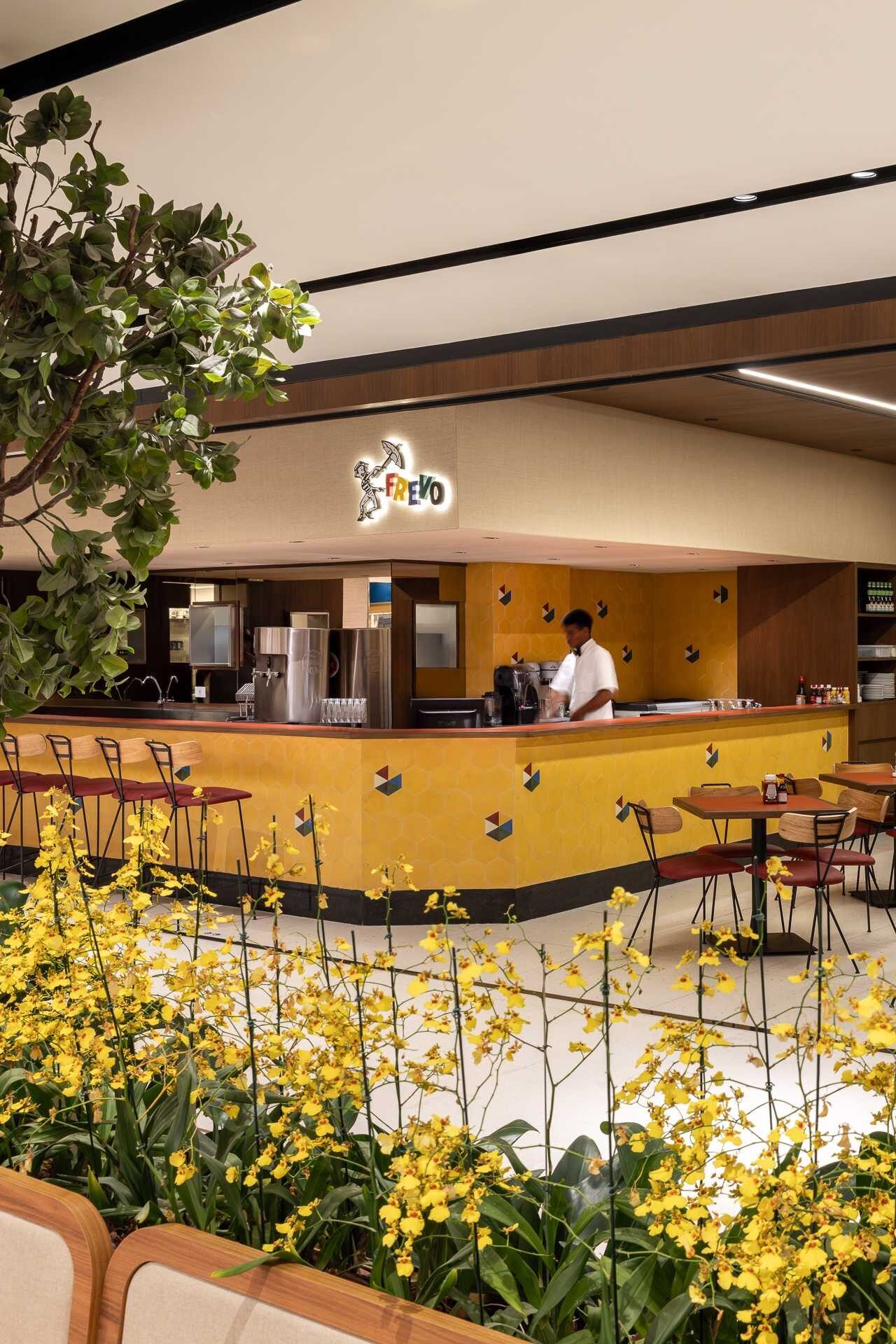 FREVO IGUATEMI - CONRADO CERAVOLO-15